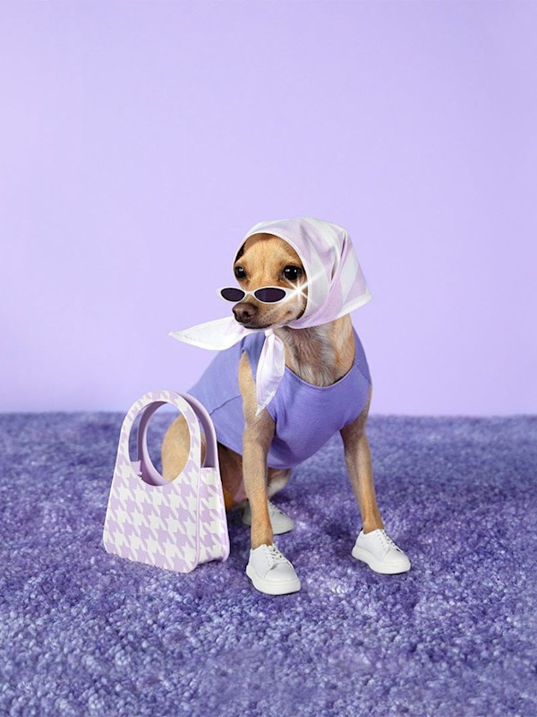 How About a Vegan Handbag Designed By a Dog?