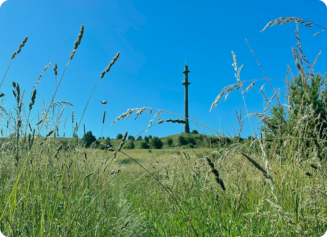 Biodiversitet omkring mobilmaster