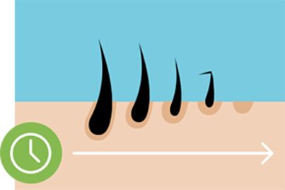 Scalp with an average amount of hair showing the causes of hair loss.