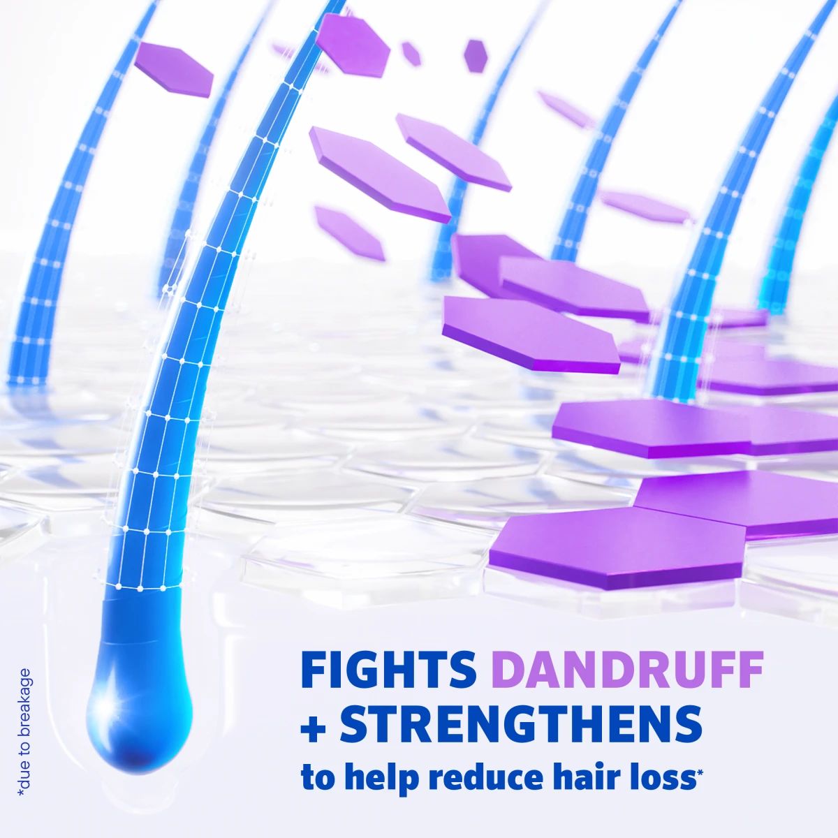 RGN_LinkToolkit_DryScalp_ATF_Hero.webp