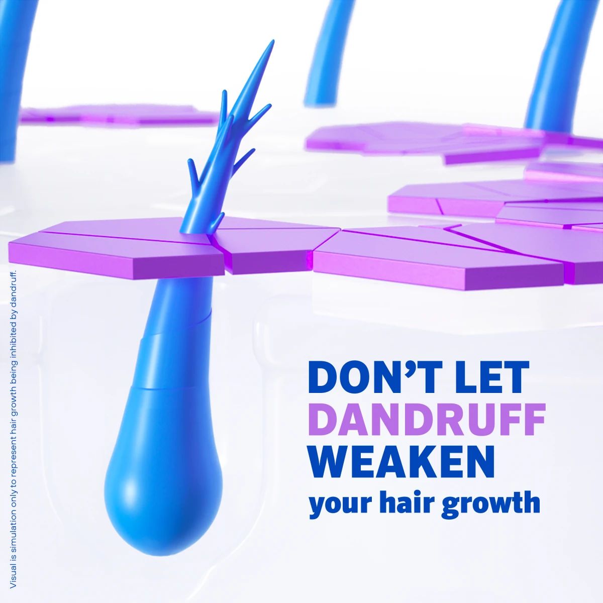 RGN_LinkToolkit_DryScalp_ATF_Minoxidil.webp