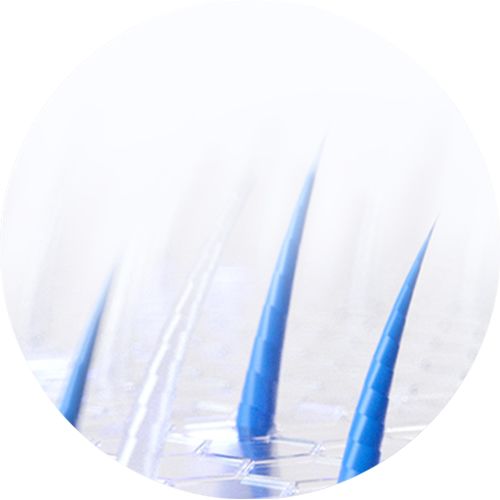 An illustration depicting the regrowth of soft, baby hairs.