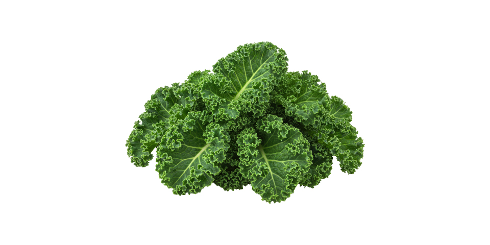 Fresh Organic Vegetables