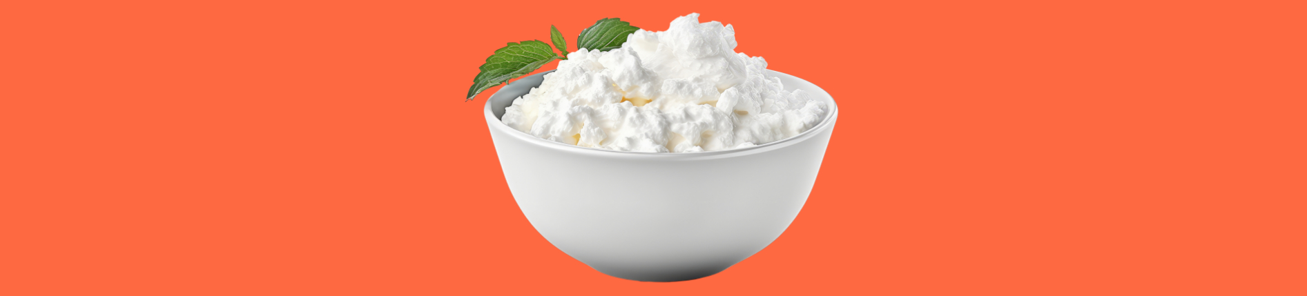 Cottage Cheese