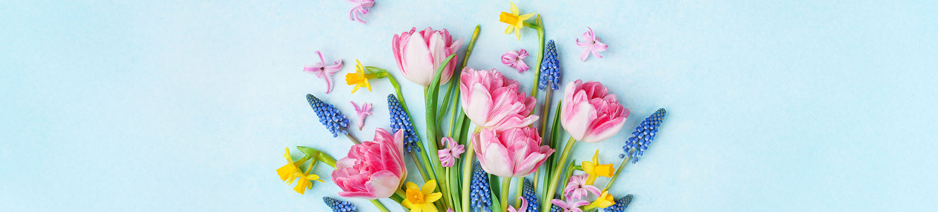 Mother's Day Flowers