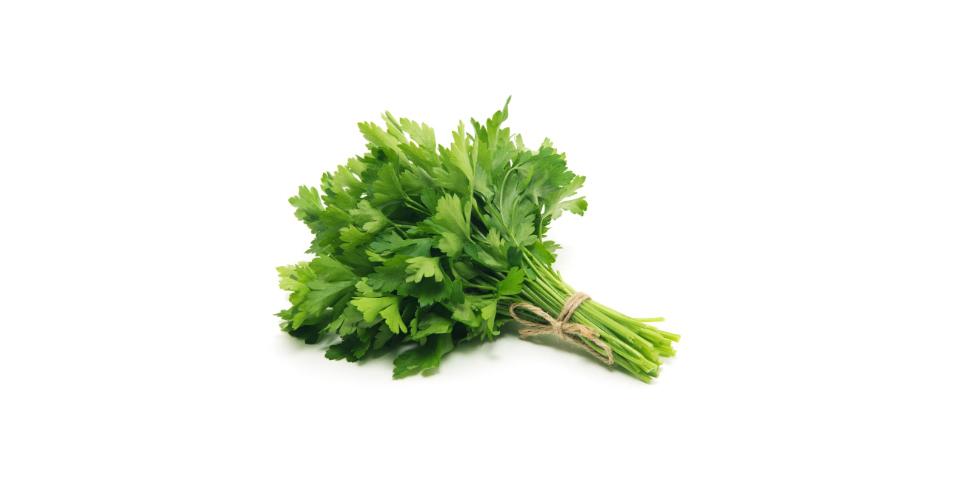 Fresh Herbs