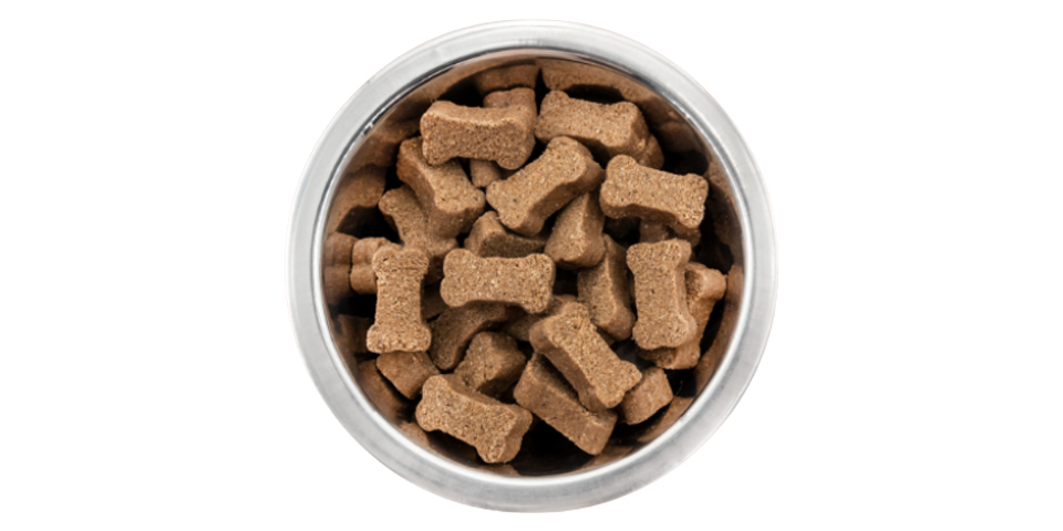 Dog Food & Accessories
