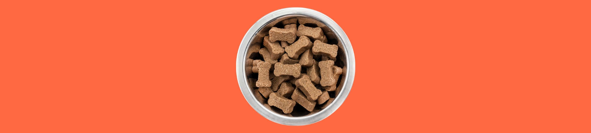 Dog Food & Accessories