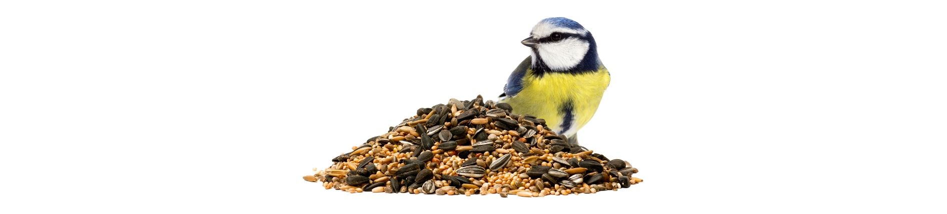 Bird & Small Animal Food