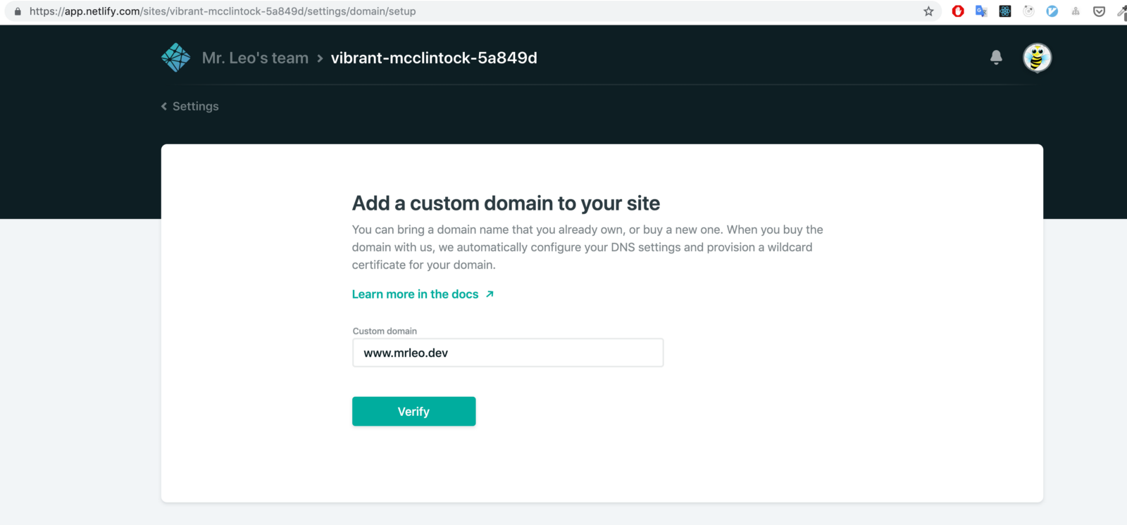 Input our domain and verify it