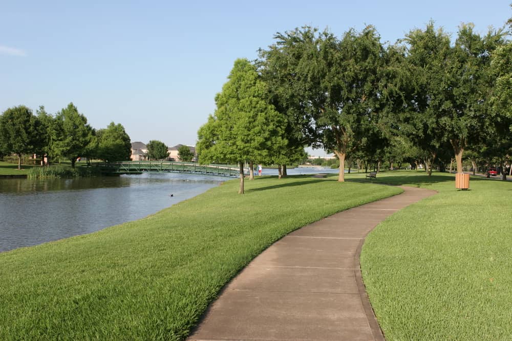 Article Image: How Much Do Movers Cost in Sugar Land in 2026 