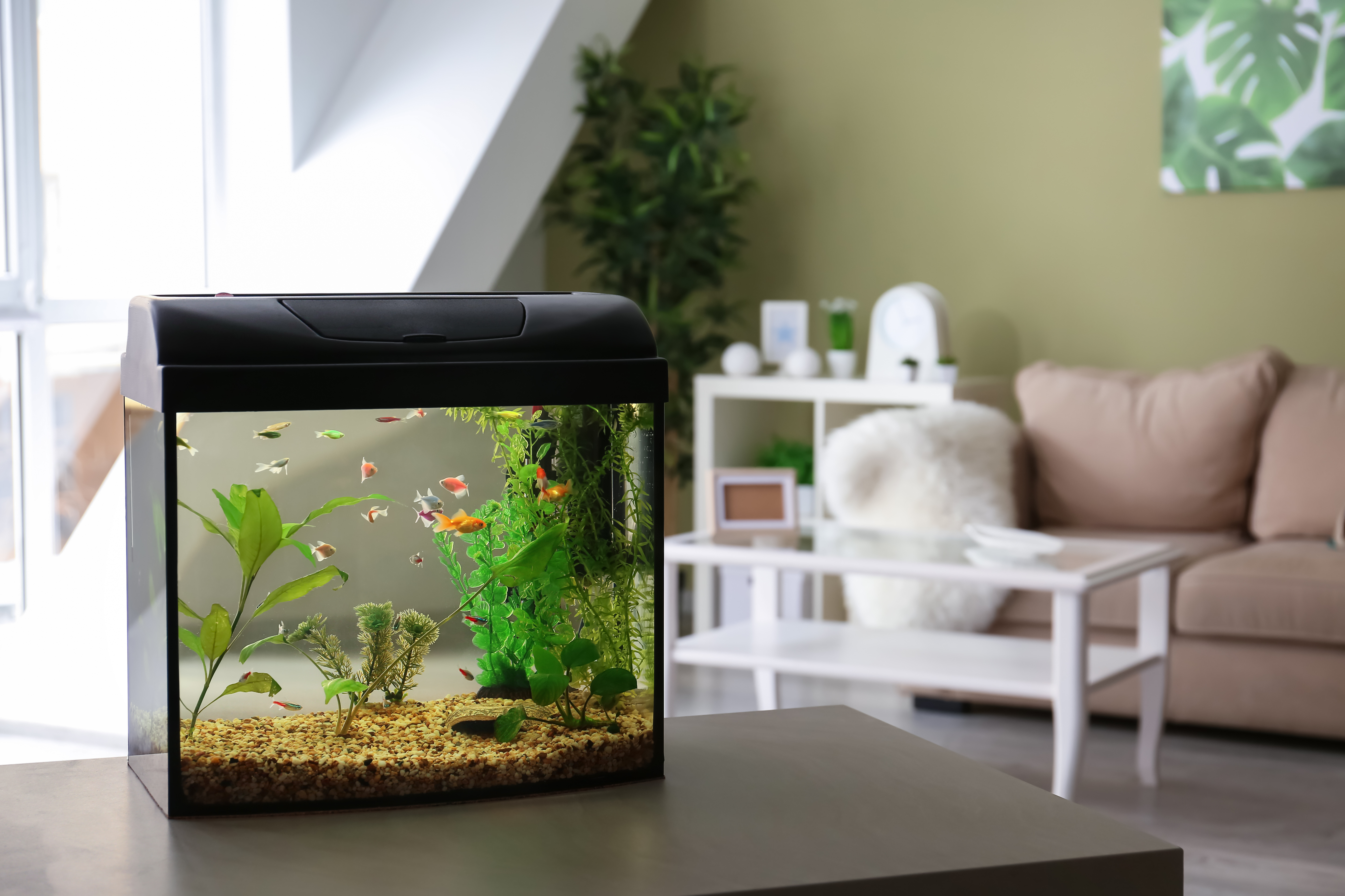 A fish aquarium sitting on a table in a living room.