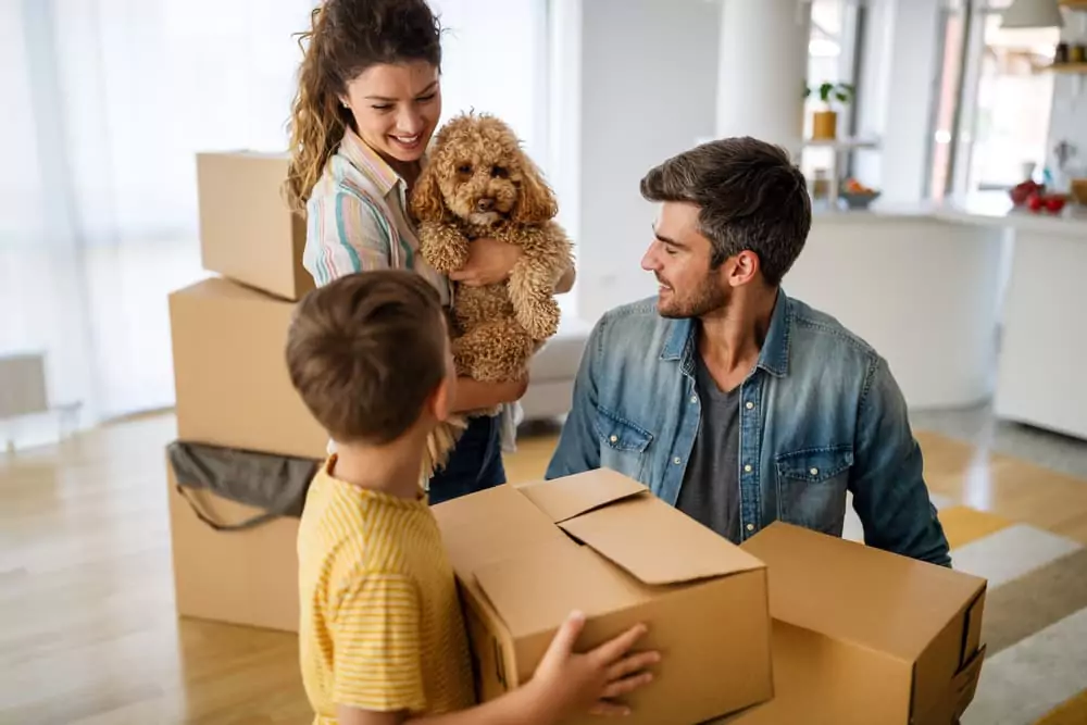 Article image for: 11 Tips for Moving with Pets
