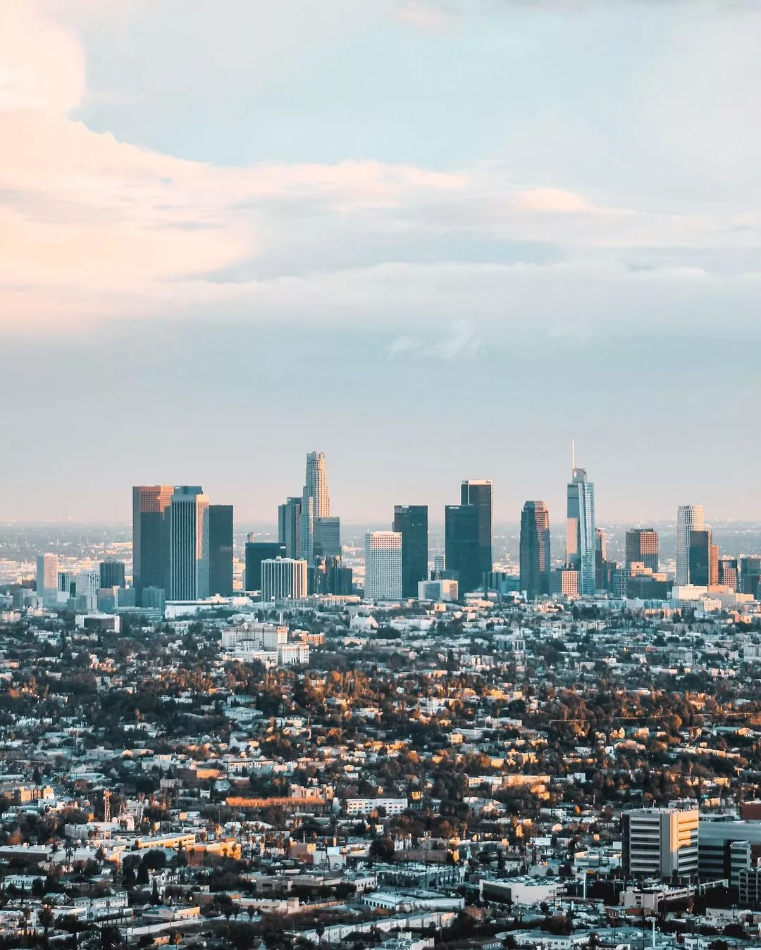 Article image for: Where to Get Free & Cheap Moving Boxes in Los Angeles