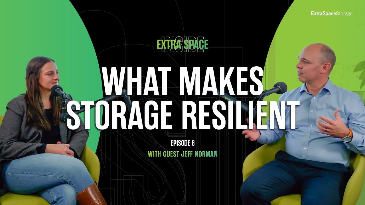 What Makes Storage Resilient
