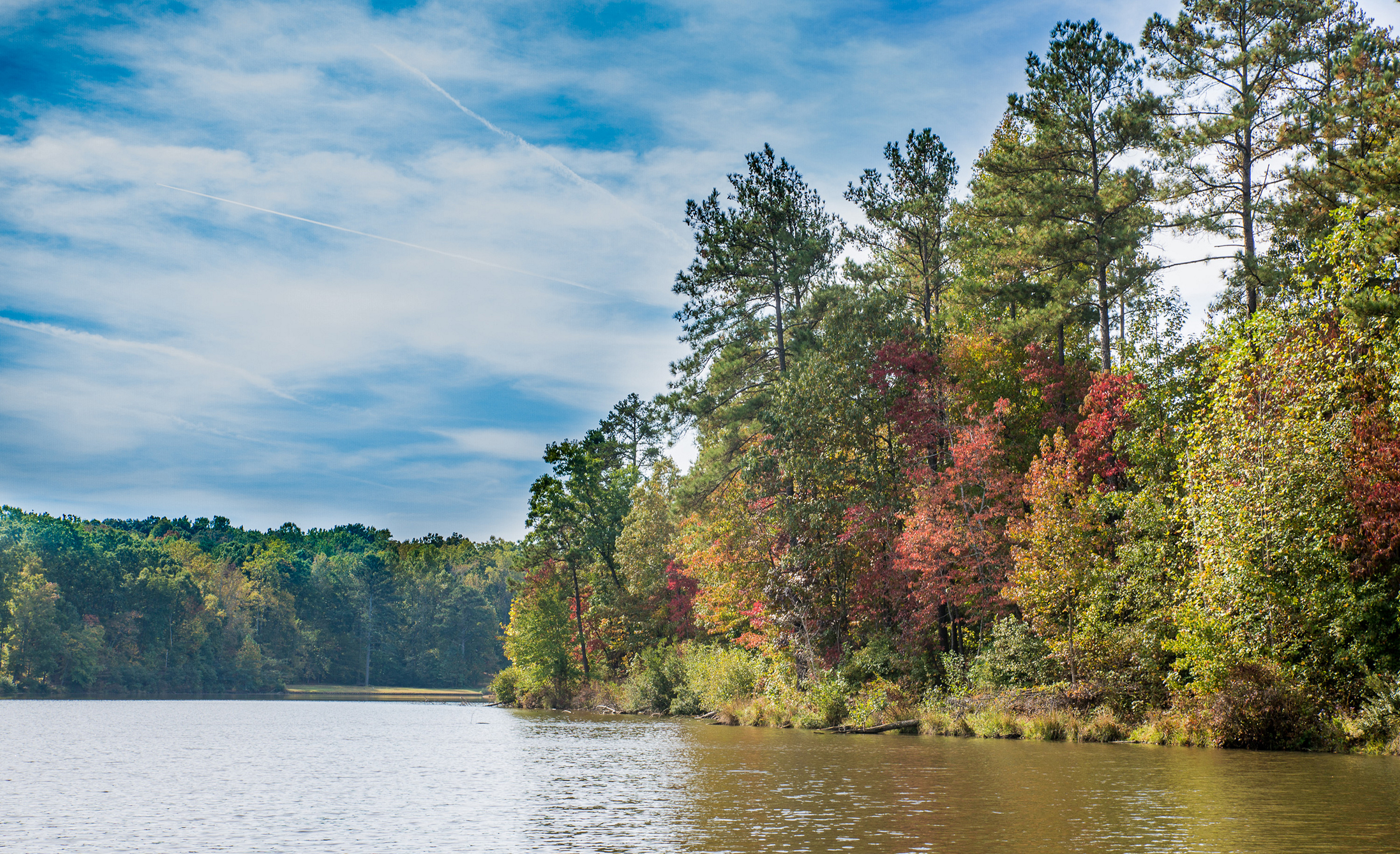 Colorful fall trees along the banks of a lake on a sunny day in Douglasville, GA.