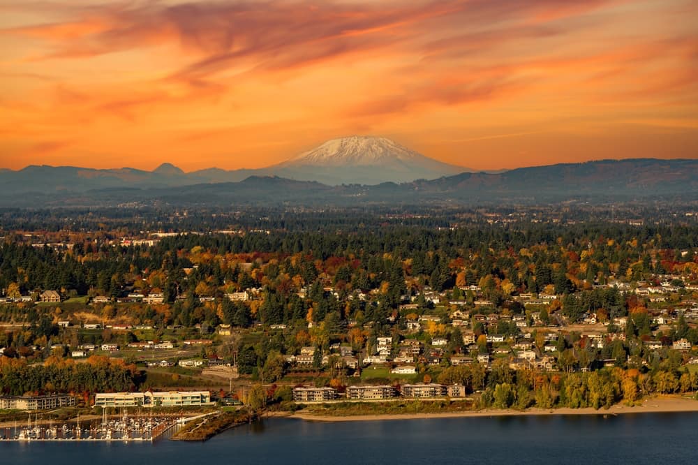 Article image for: 10 Best Places to Get Free & Cheap Moving Boxes in Vancouver, WA