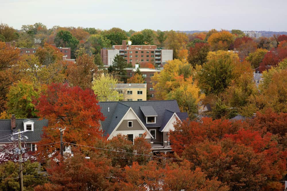 Article image for: How Much Does Hiring a Moving Company Cost in Bethesda?
