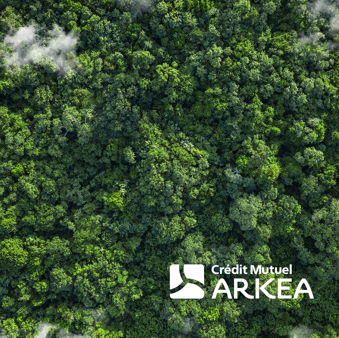 CMA forêt 