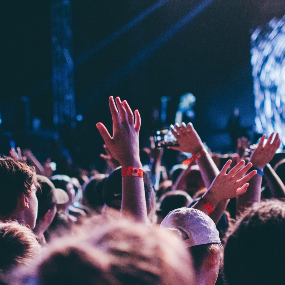 Image de foule dans un concert