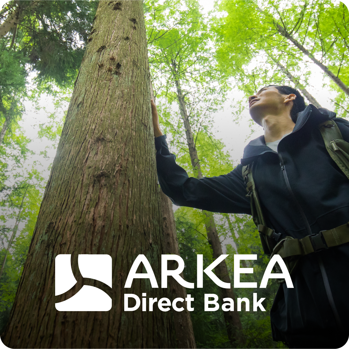 Homme touchant un arbre dans une forêt 