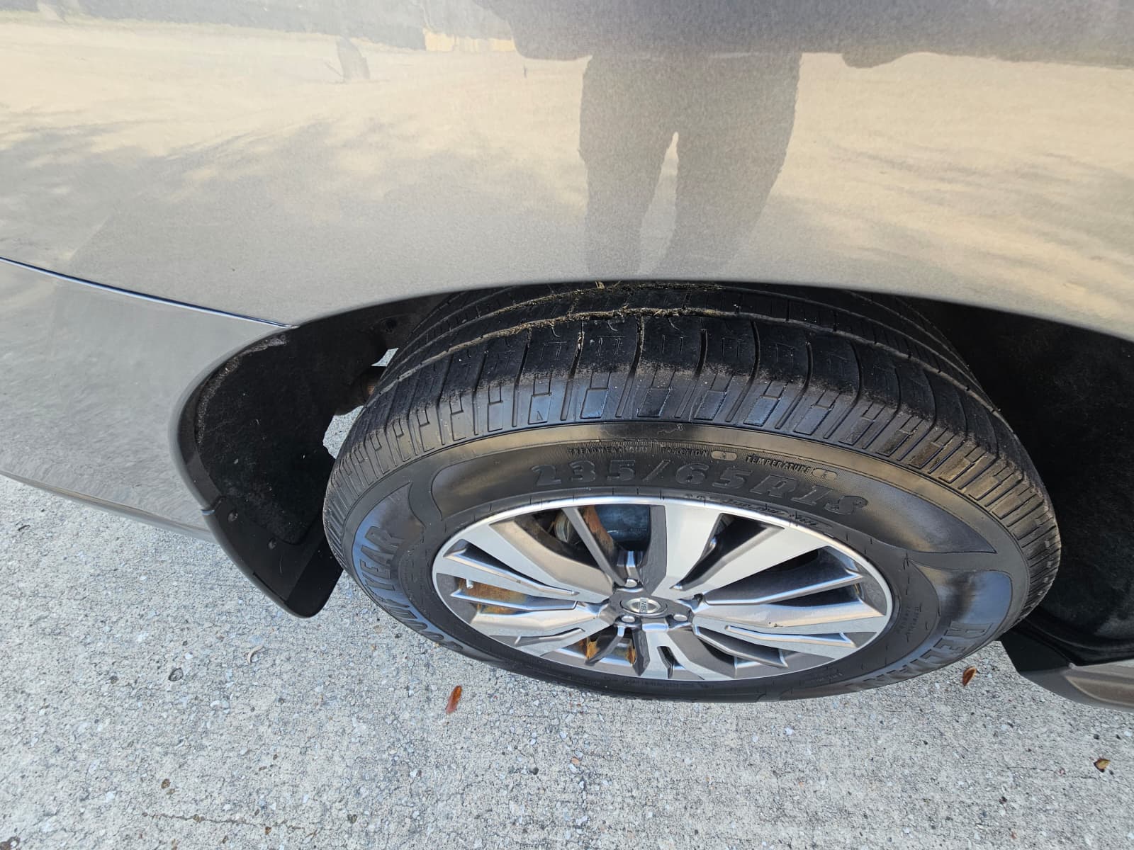 PHOTO-2026-02-13-16-44-04 (7)