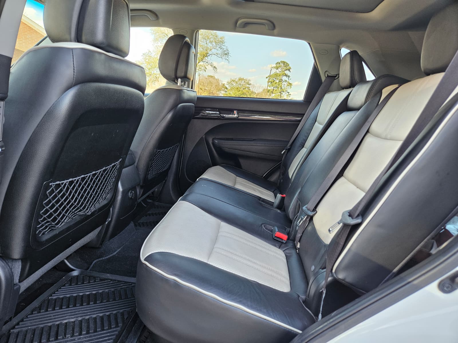 PHOTO-2026-01-16-16-18-59 (3)