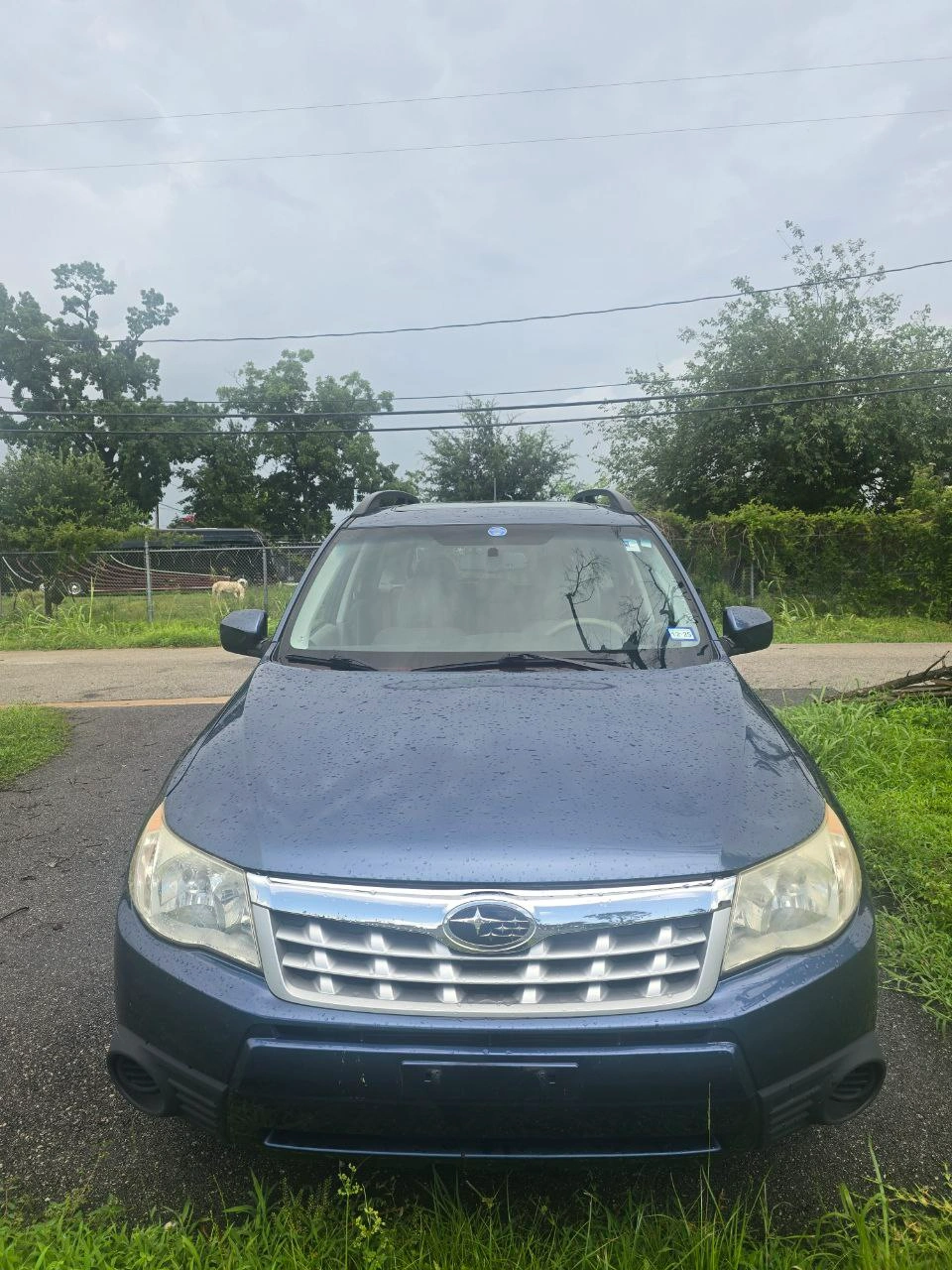 Subaru forester
