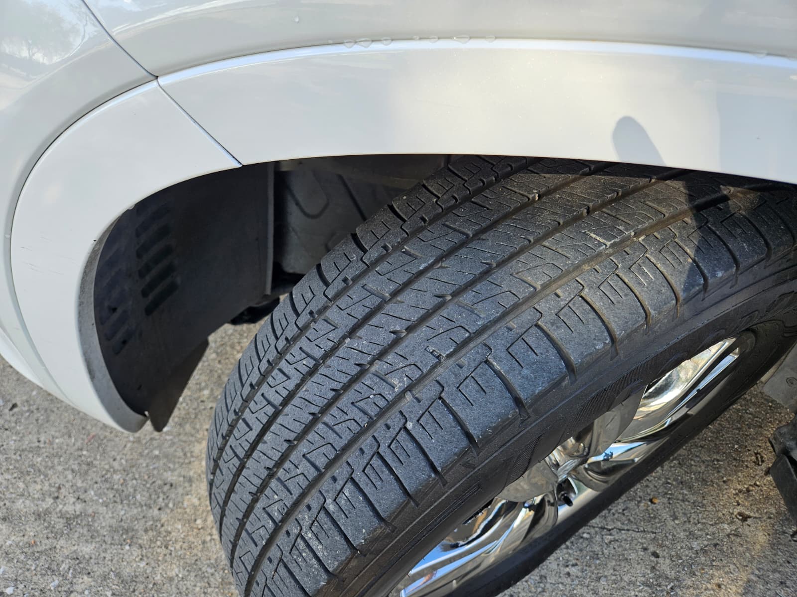 PHOTO-2026-01-16-16-18-59 (2)