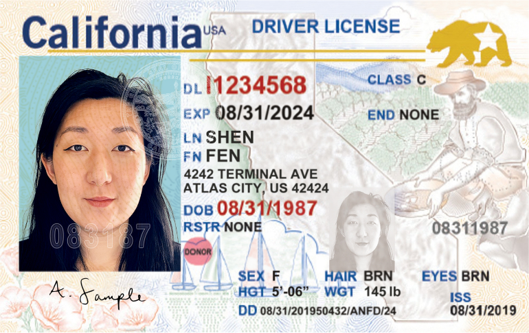 brn california license lookup