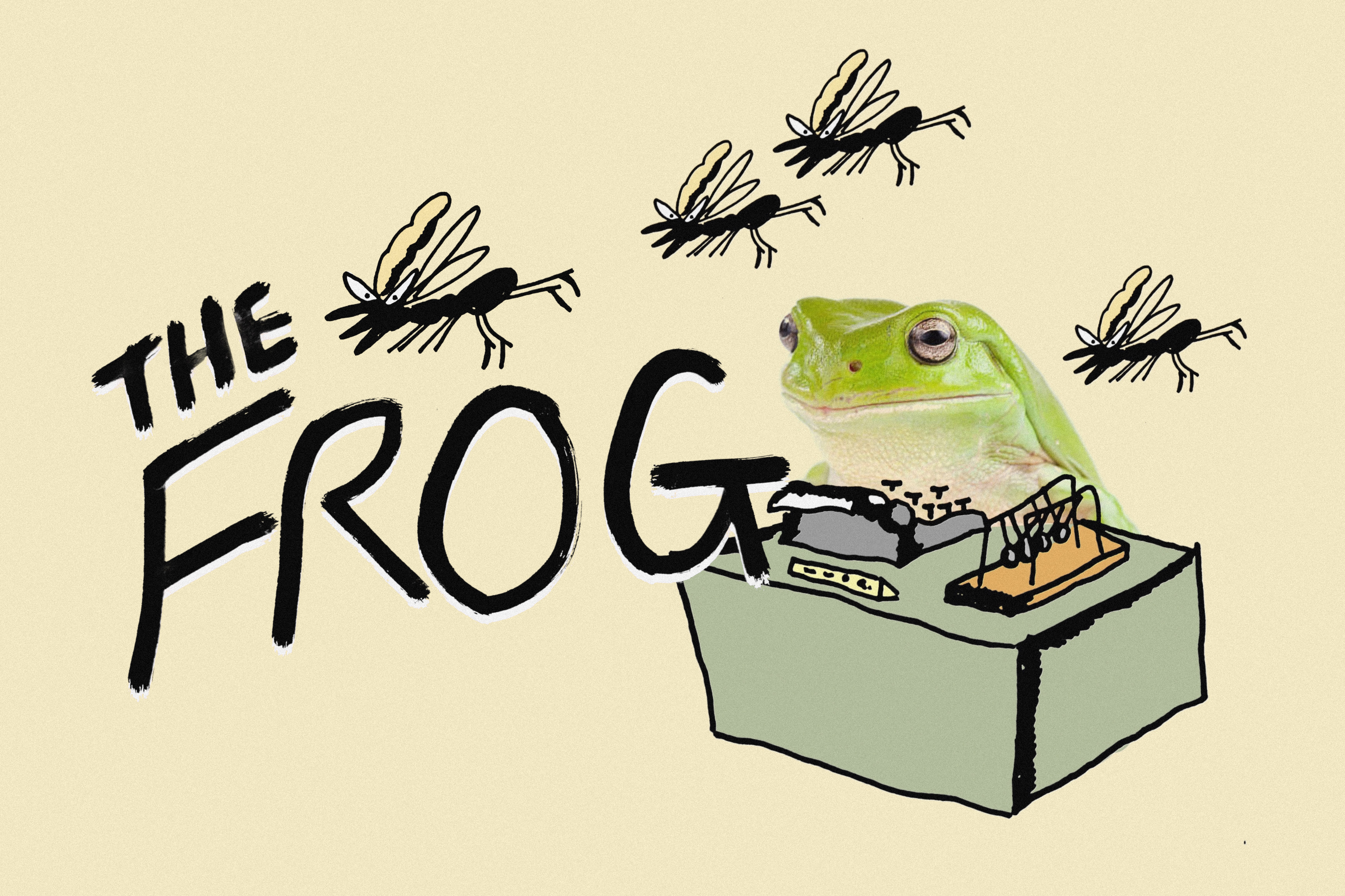 Poster for The Frog