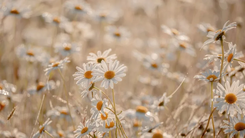 What to Do Before You Get Pregnant: A Practical Guide