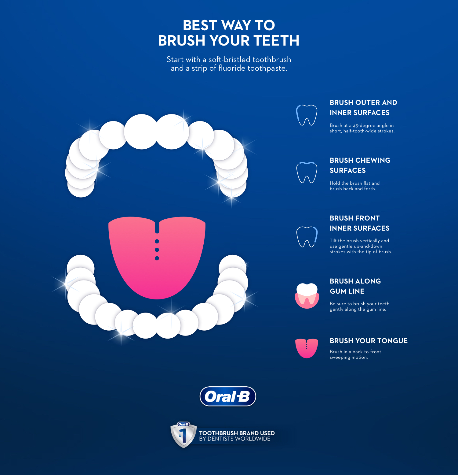 Chart showing the proper way to brush your teeth | Crest