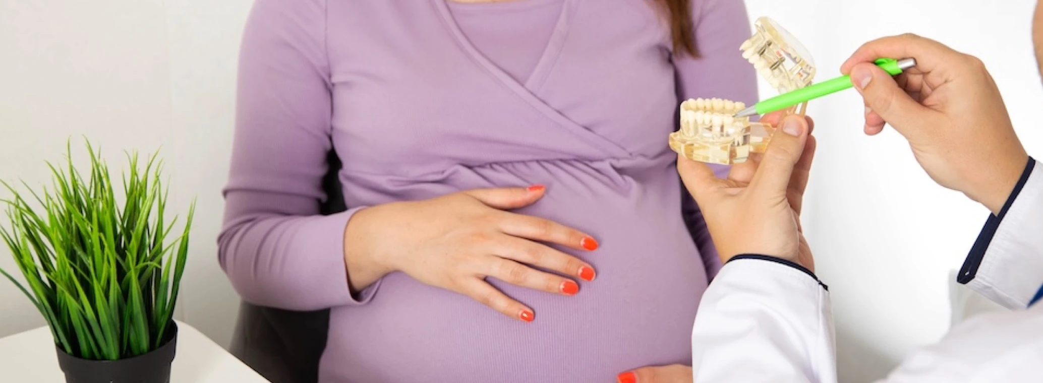 Pregnant woman being shown a model of teeth in a dentist’s office   Parent Keyword: pregnancy gingivitis