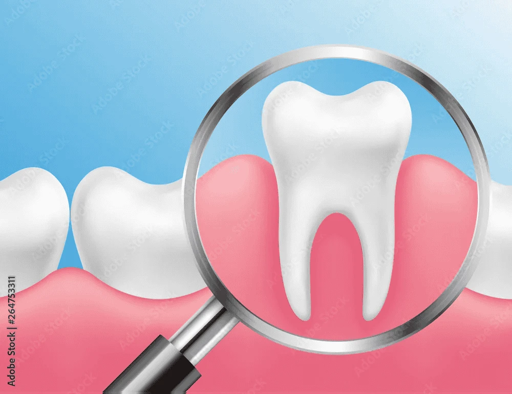 Close-up illustration of a healthy tooth and gums under a magnifying glass