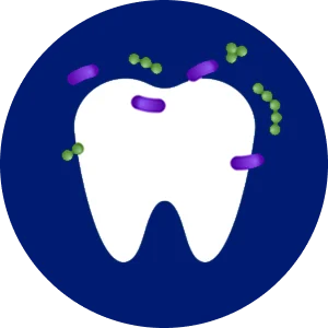 Bacteria Image