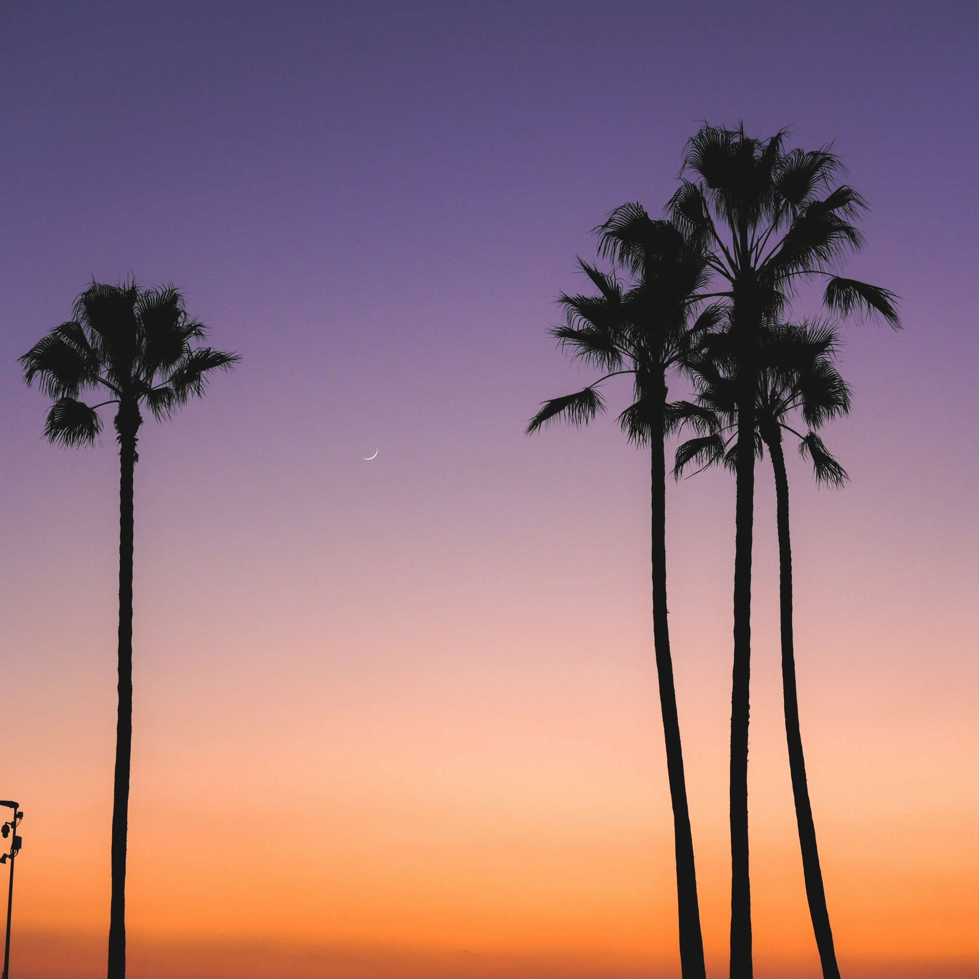 How to Run for City Council in Rialto, California