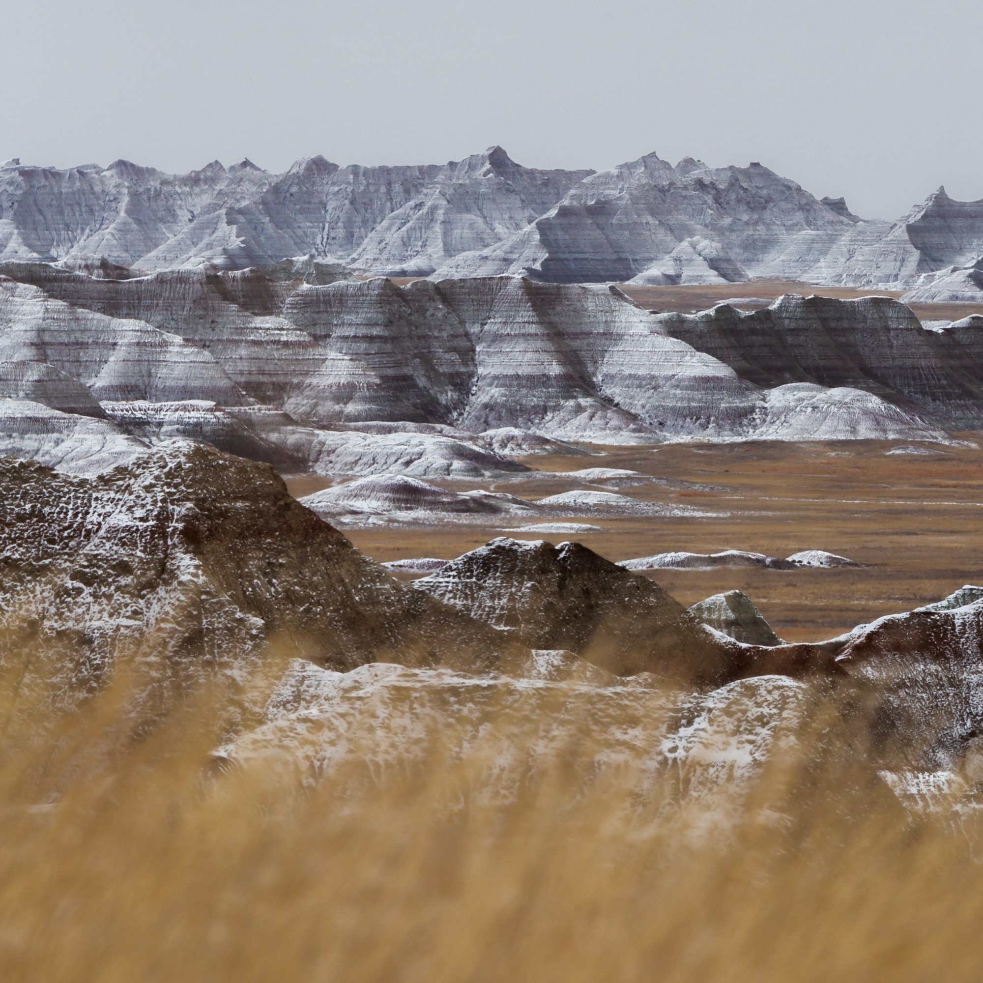 10 Reasons To Launch An Independent Campaign In South Dakota In 2024   Luke Wass ZEj5u75DQVs Unsplash 