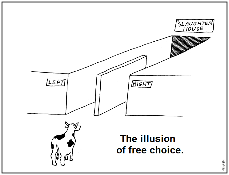 Abstruse Goose Illusion of choice