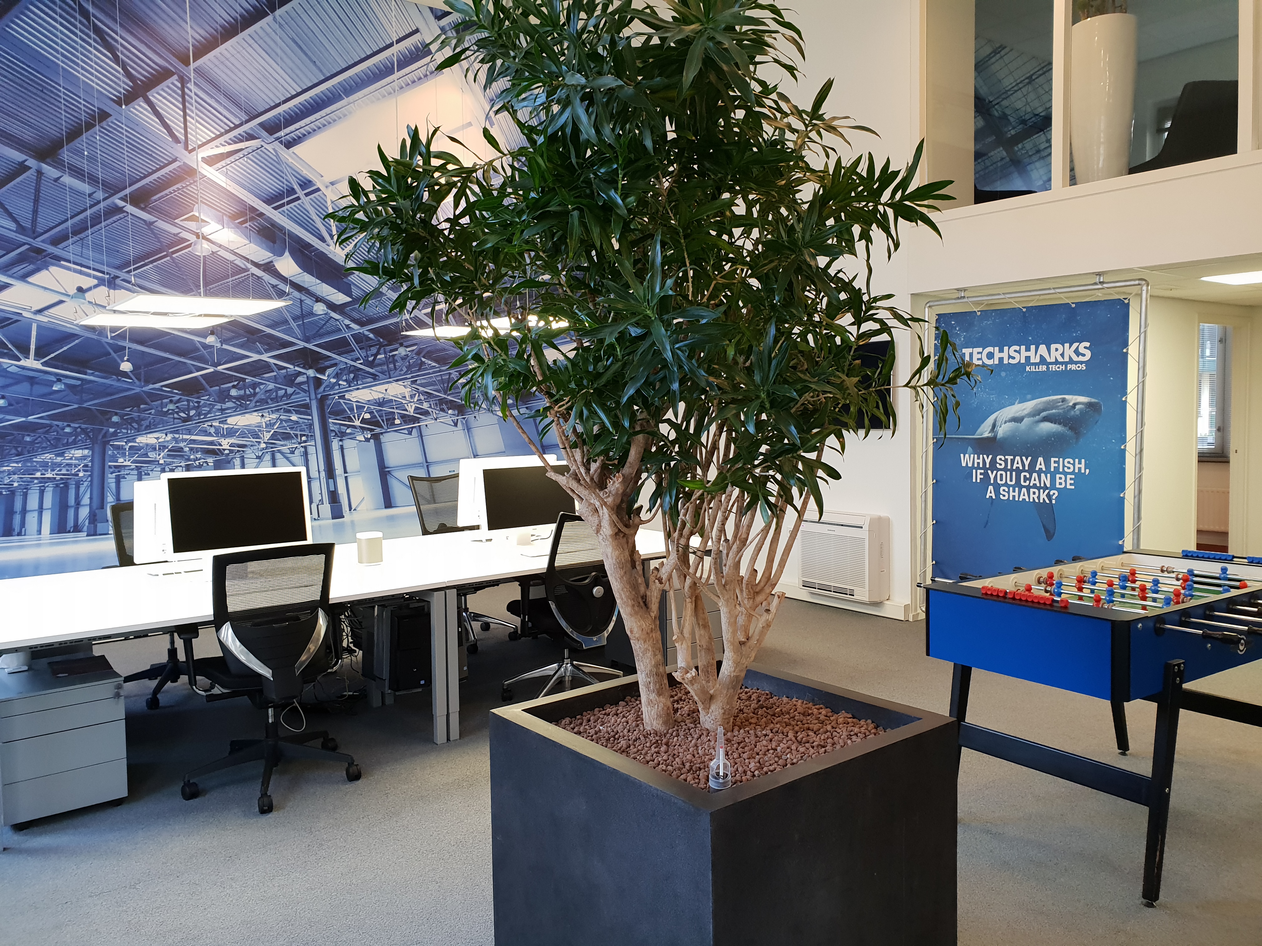 Onze Teams - Techsharks