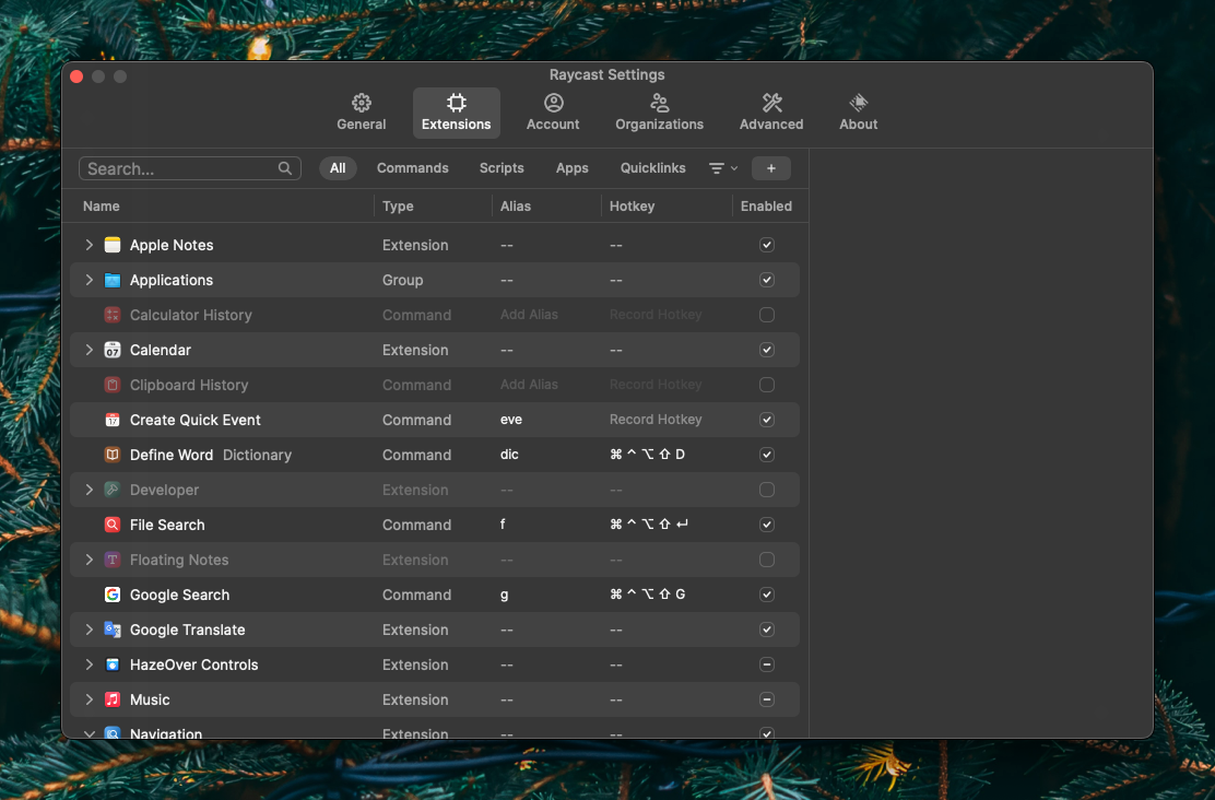 Extensions 탭이 열려 있는 Raycast Settings 창