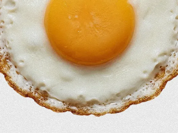 Fried Egg
