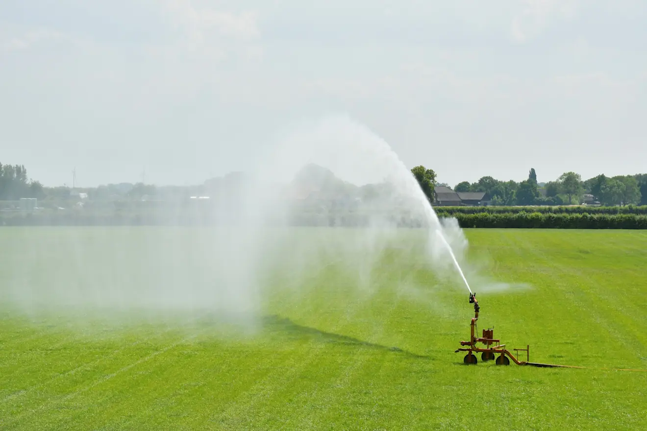 Toenemende droogte - Cynthia van Leusden