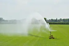 Toenemende droogte - Cynthia van Leusden