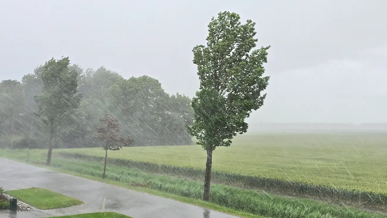 Een felle bui passeert maandag het noordoosten van Groningen met flink wat wind - Jannes Wiersema