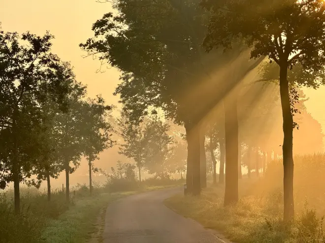 Veel vocht in de lucht, vanochtend in Montfort - Thieu Smeets