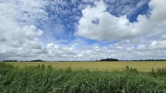 Stapelwolken boven Noordoost-Nederland - Jannes Wiersema.