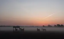 Een fraaie zonsopkomst, vanochtend in de buurt van De Lutte - Tonny Morsink