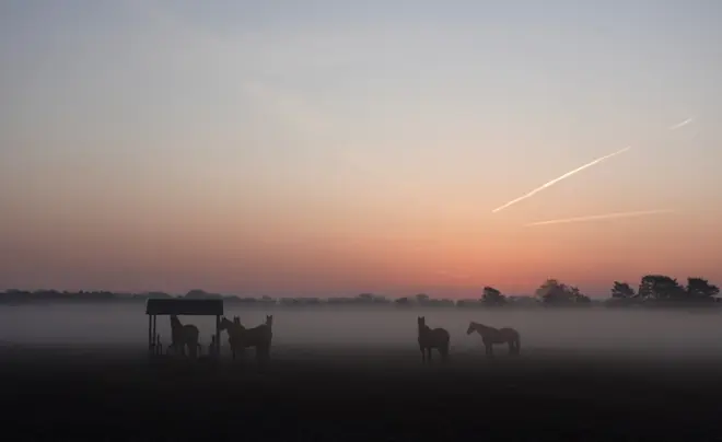 Een fraaie zonsopkomst, vanochtend in de buurt van De Lutte - Tonny Morsink