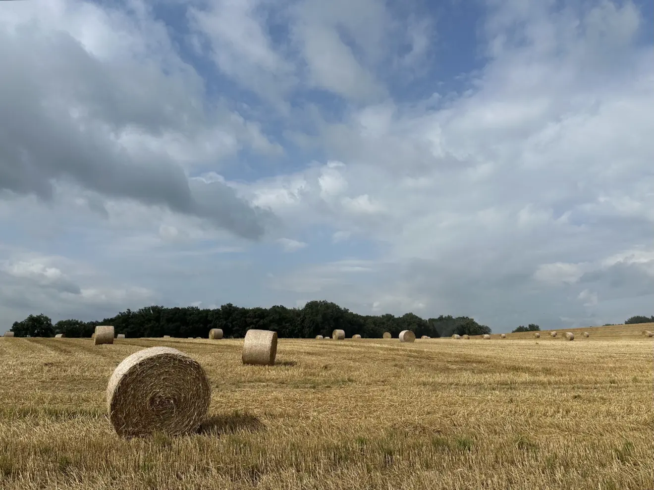 Zomer in Frankrijk - Deborah Bakker